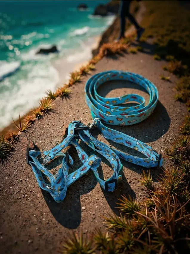 Guinzaglio, collare e pettorina per cane - blu pallido