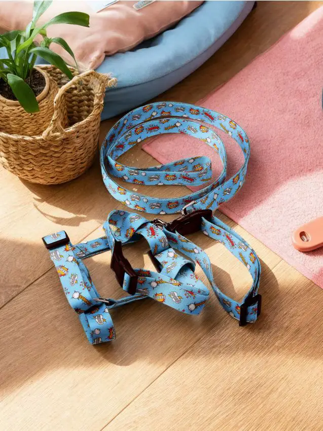 Guinzaglio, collare e pettorina per cane - blu pallido