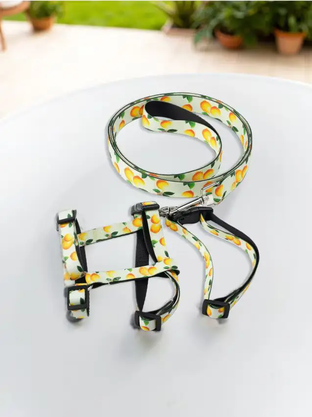 Guinzaglio, collare e pettorina per cane - giallo chiaro