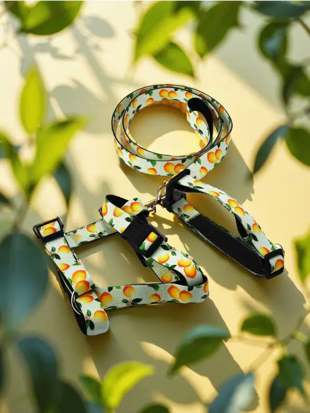 Guinzaglio, collare e pettorina per cane - giallo chiaro