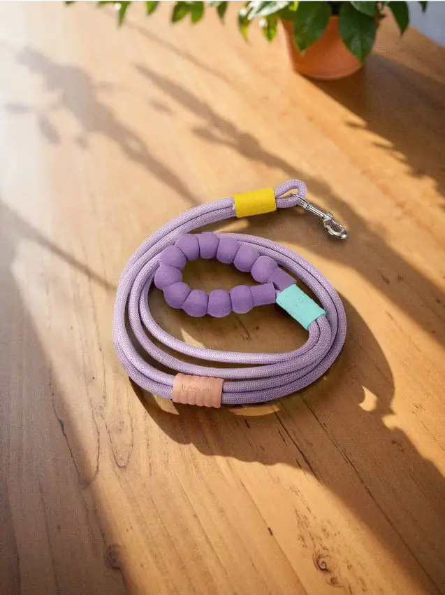 Guinzaglio per cane - viola