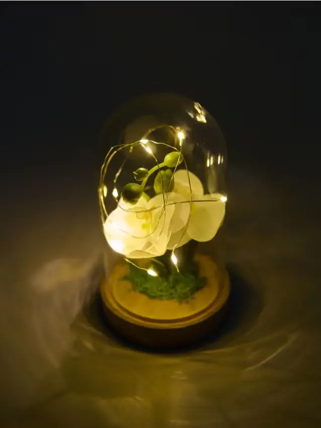 Lampada decorativa a LED con fiore sotto cupola di vetro - bianco