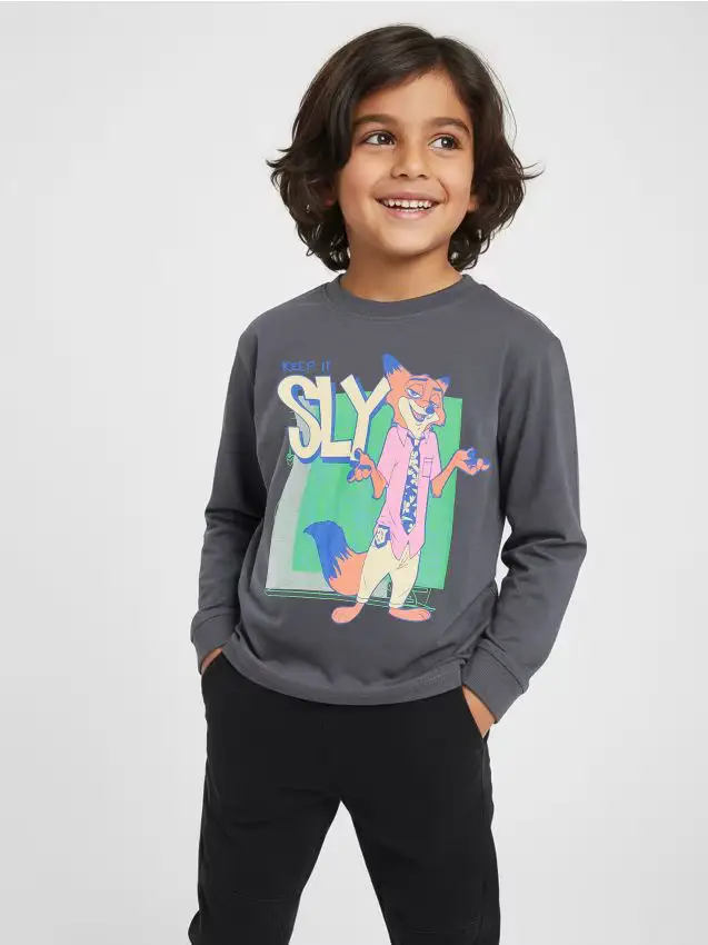 Maglietta a maniche lunghe Zootopia 2 - marrone scuro