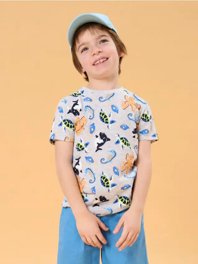 Maglietta - grigio chiaro