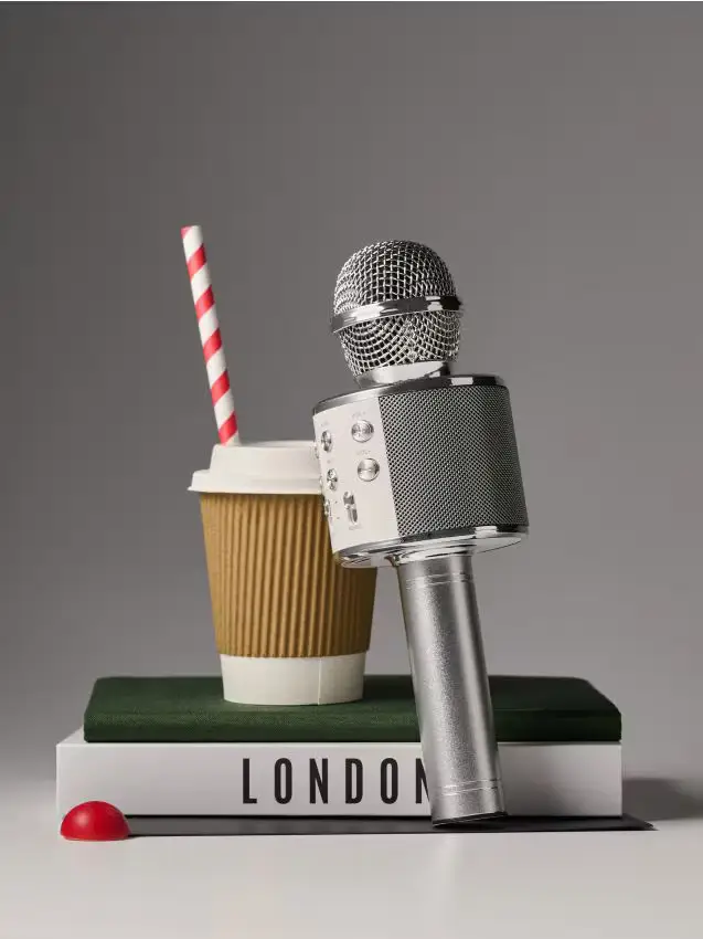 Microfono karaoke wireless con effetti sonori - grigio chiaro