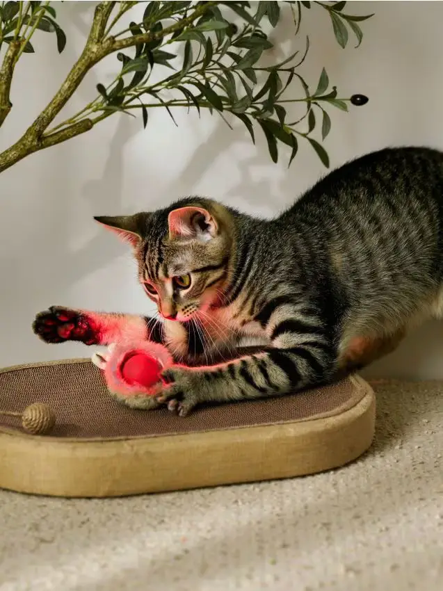 Palla elettrica per gatti - rosso