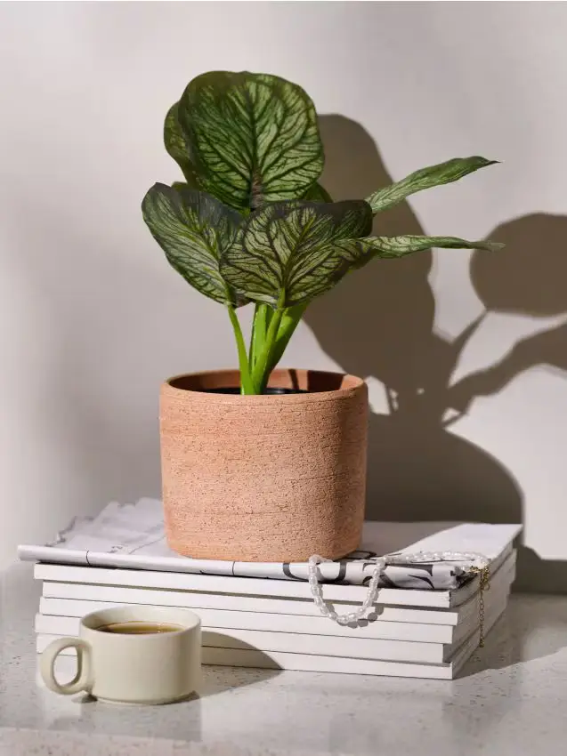 Pianta decorativa artificiale Alocasia in vaso - verde