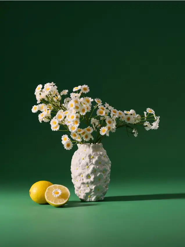 Pianta decorativa - bouquet di margherite - bianco