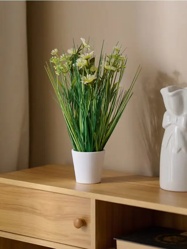 Pianta decorativa in vaso - erba e margherite - giallo chiaro