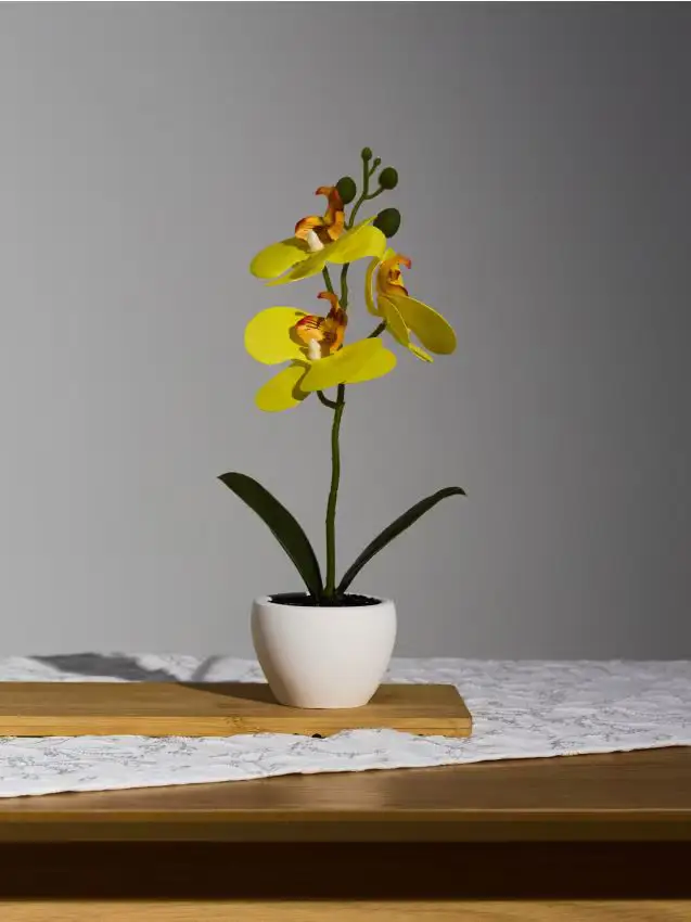 Pianta decorativa in vaso - giallo chiaro