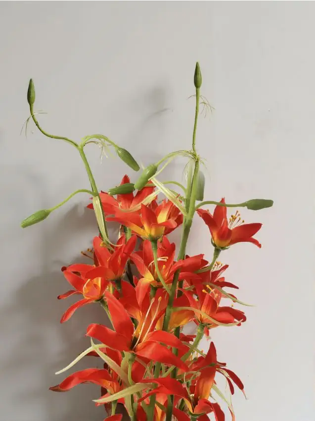 Pianta ornamentale artificiale 3 pack - arancione