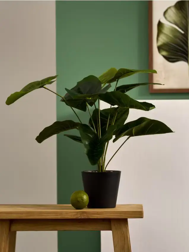 Pianta ornamentale artificiale - verde