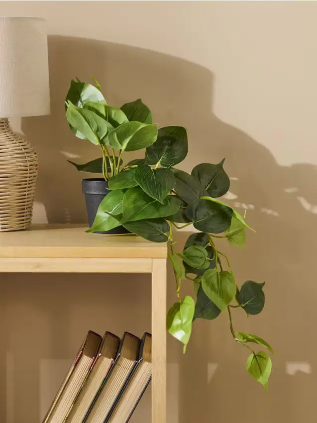 Pianta ornamentale artificiale - verde