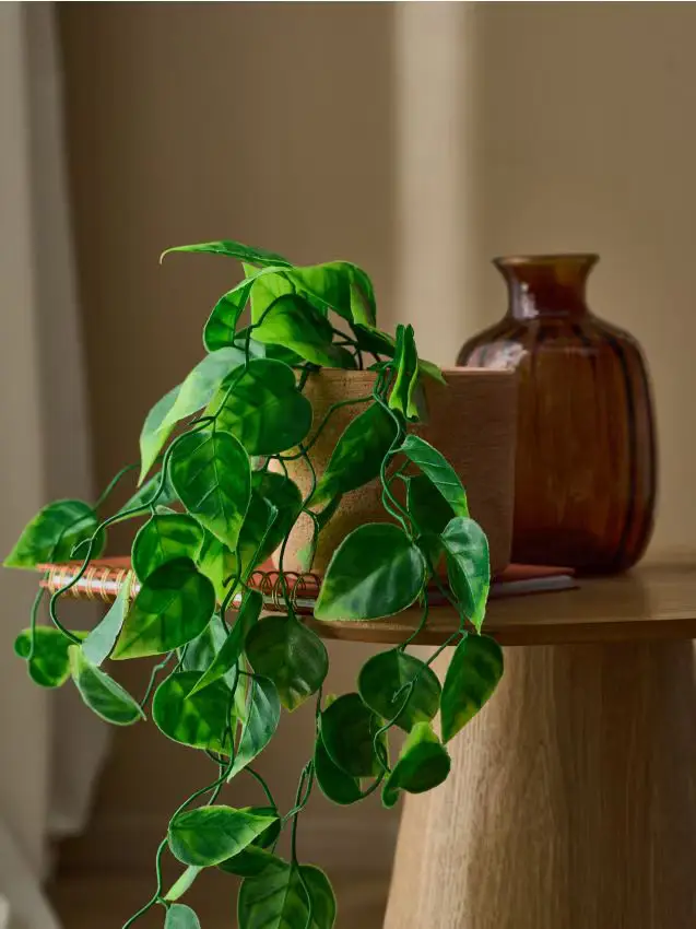 Pianta ornamentale artificiale - verde