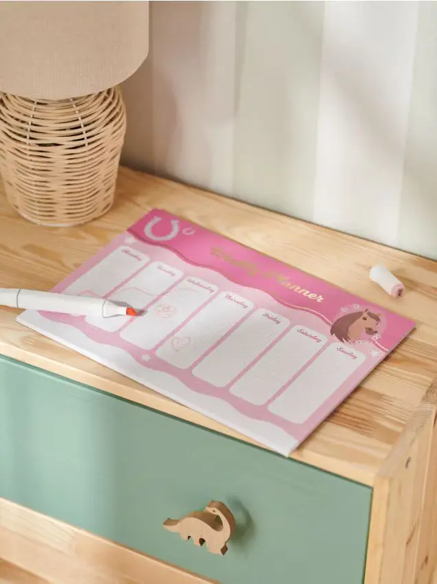 Planner - multicolor