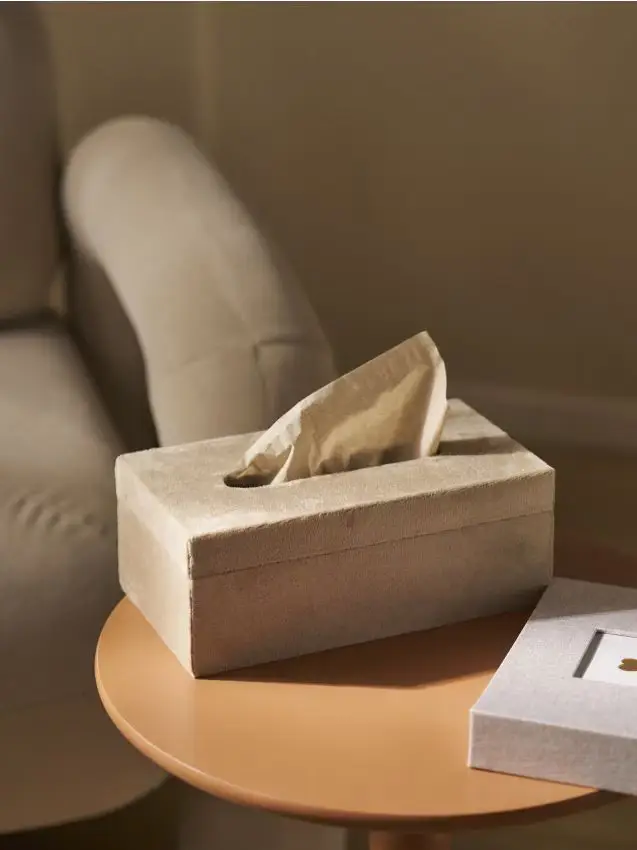 Scatola portafazzoletti in velluto - beige