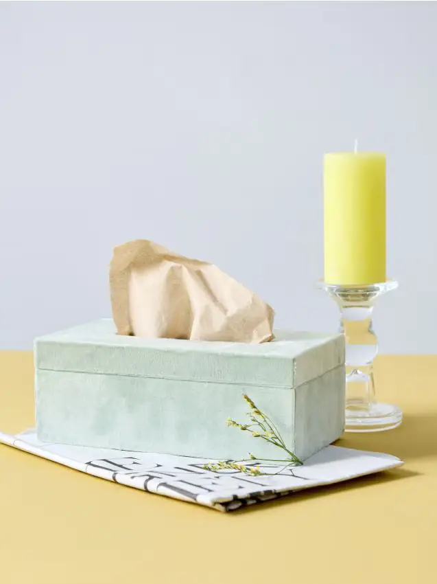 Scatola portafazzoletti in velluto - verde chiaro