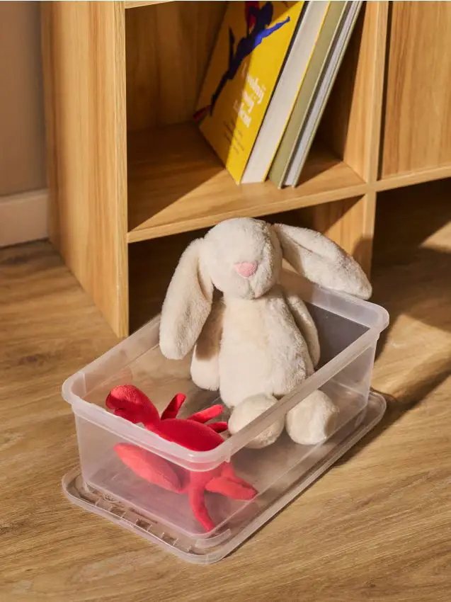 Scatola trasparente portaoggetti con coperchio - clear