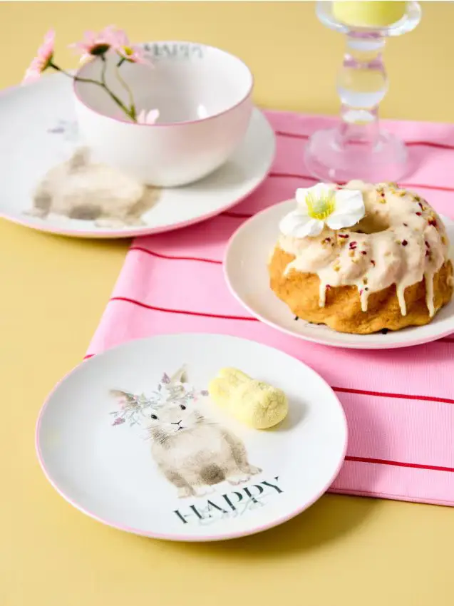 Set di piatti con stampa di conigli 2 pack - multicolor