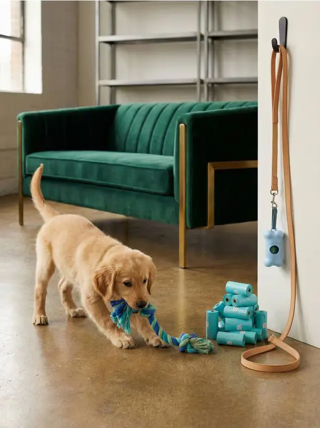 Set per cani gioco, sacchetti igienici e porta sacchetti - 24 pezzi - blu