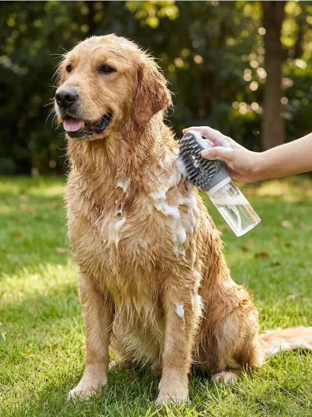 Spazzola per animali con spruzzatore - grigio scuro