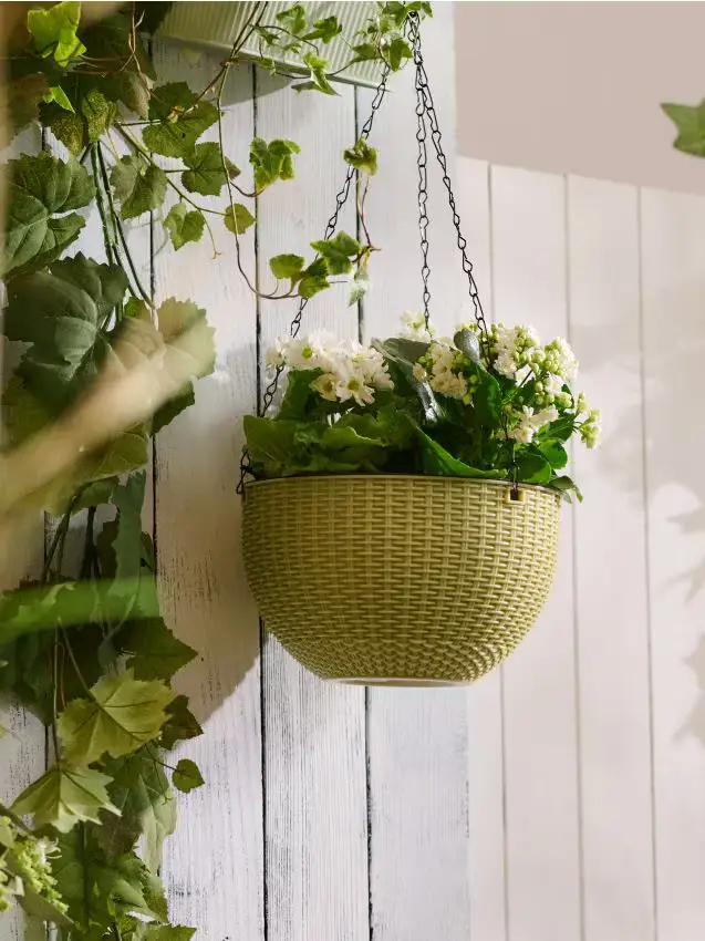 Vaso da fiori sospeso con catena - verde pallido