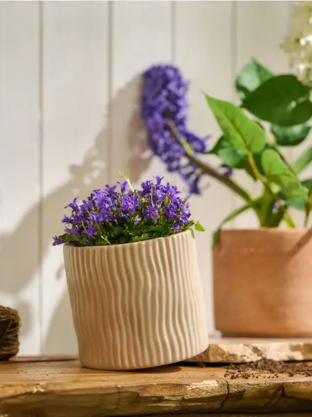 Vaso decorativo con superficie scanalata - nude