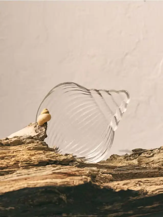 Vassoio decorativo in vetro a forma di conchiglia - clear