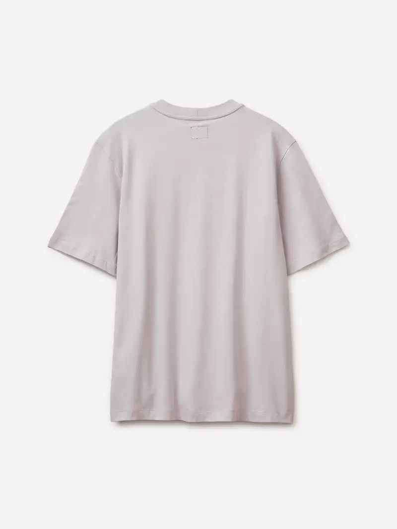 T-shirt Girocollo Regular Fit, Uomo, Grigio Chiaro miniatura 2