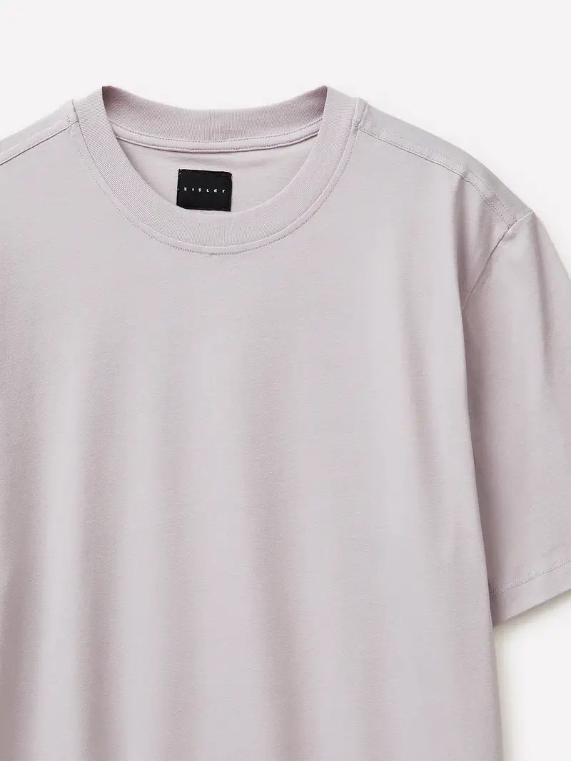 T-shirt Girocollo Regular Fit, Uomo, Grigio Chiaro miniatura 3