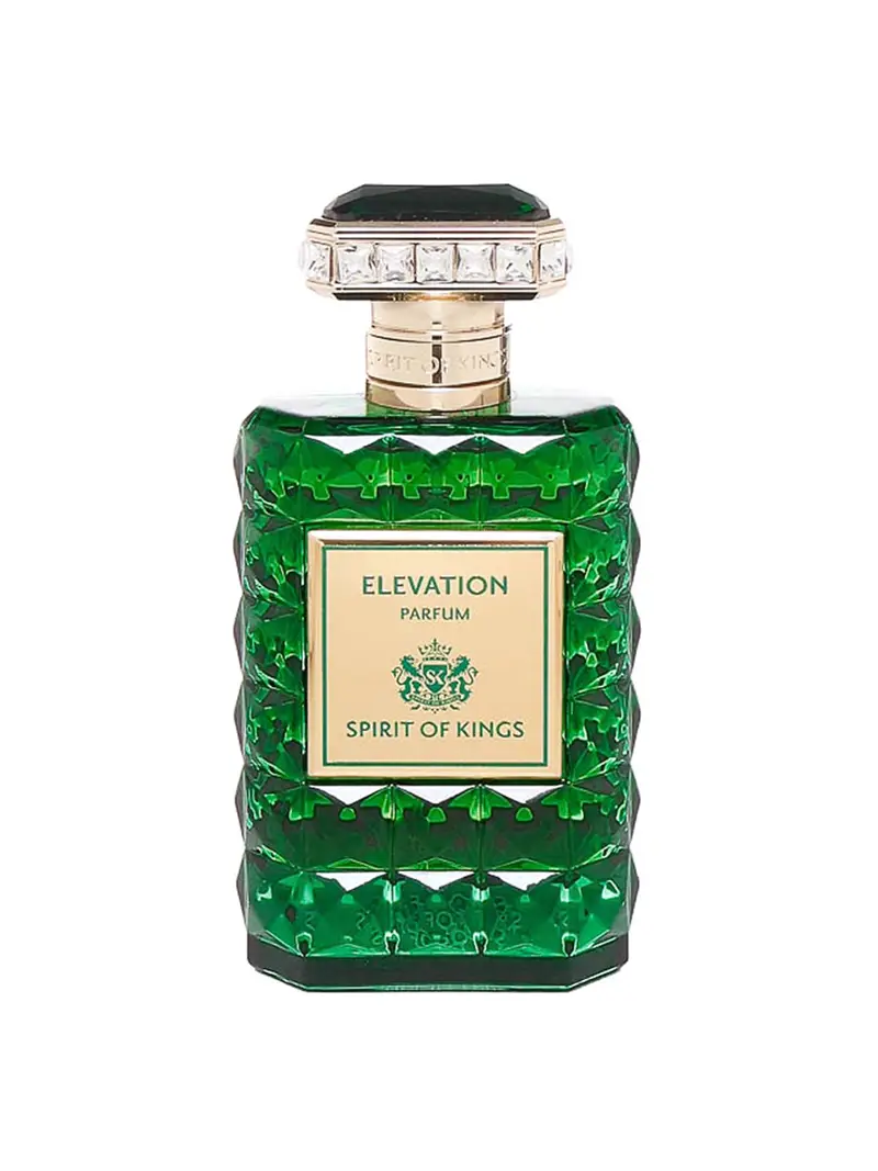 Elevazione Eau De Parfum 100 Ml Verde