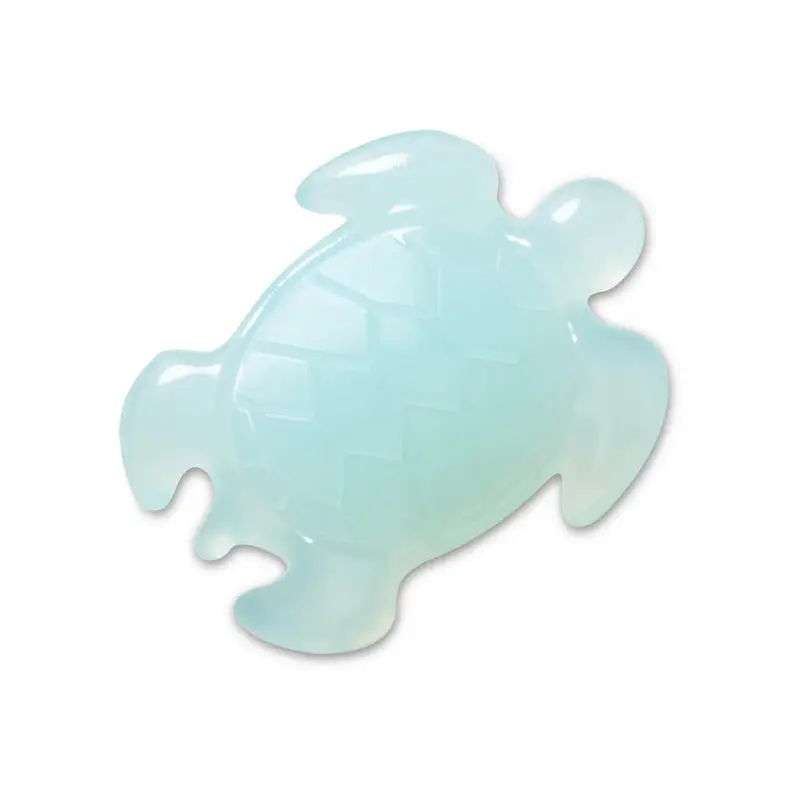 Squish filled turtle