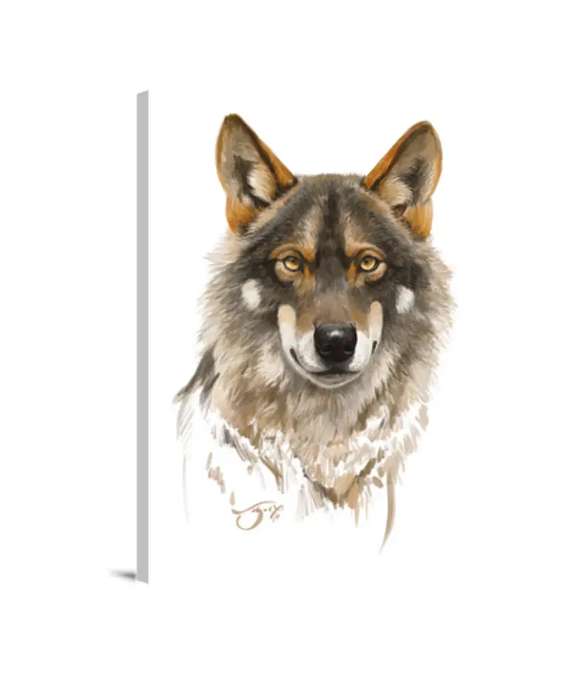 Stampa Su Tela Verticale 3:4 Lupo iberico 1