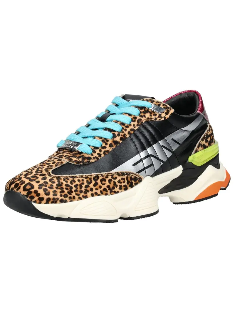 STEVE MADDEN Sneaker bassa  marrone / cappuccino / grigio / nero