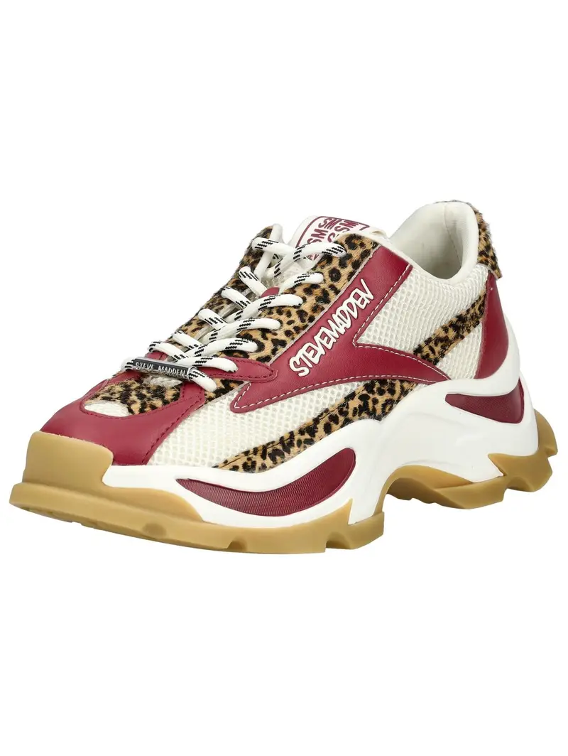 STEVE MADDEN Sneaker bassa  marrone / rosso vino / nero / bianco