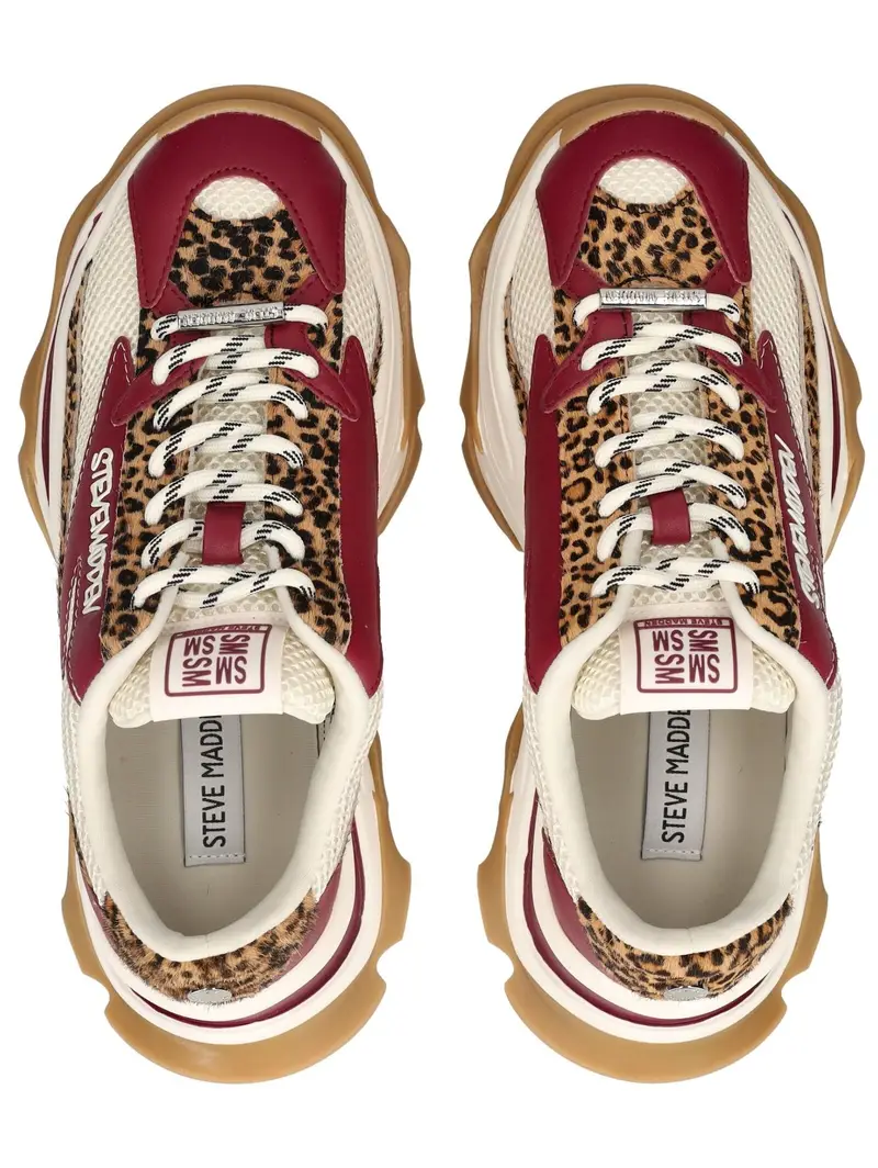 STEVE MADDEN Sneaker bassa marrone / rosso vino / nero / bianco miniatura 2