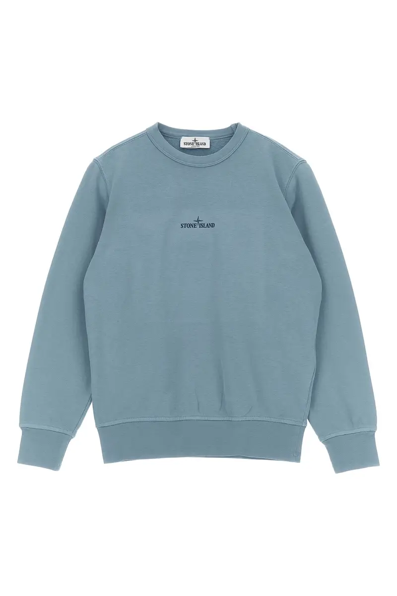 Felpa Stampa Logo Azzurro