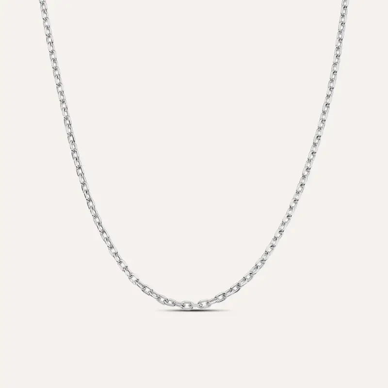 Catena Gentleman Argento Rodiato