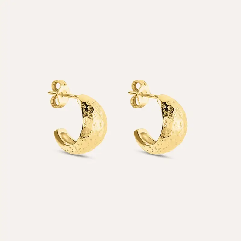 Orecchini A Cerchio Silver Collection Argento Dorato