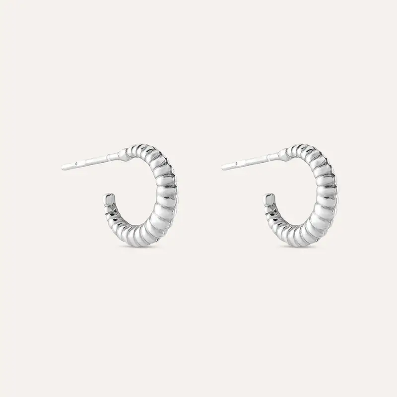 Orecchini A Cerchio Silver Collection Argento Rodiato