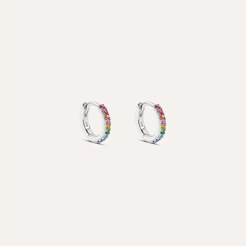 Orecchini A Cerchio Silver Rainbow Argento Rodiato Cubic Zirconia