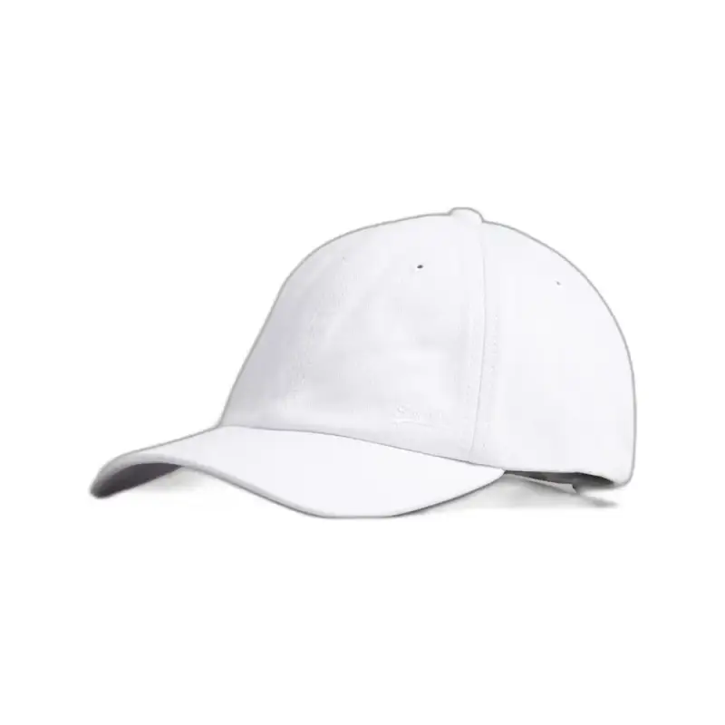 Cappello Superdry Vintage EMB