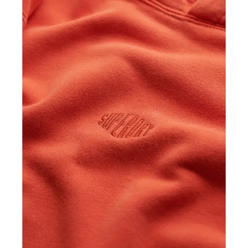 Felpa con cappuccio Superdry Micro Logo