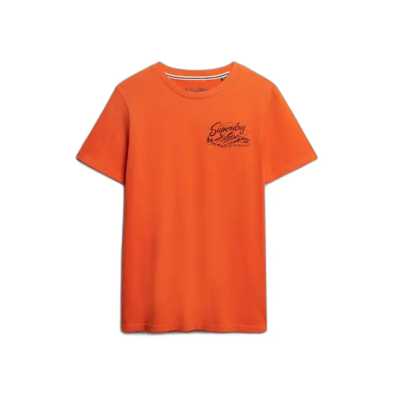 T-shirt Superdry Lo-fi Outdoors Relaxed