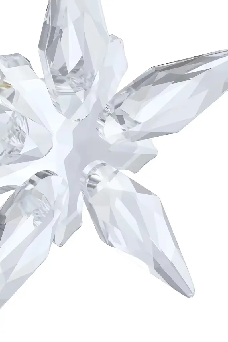 decorazione appesa ANNUAL colore trasparente 5701825 Transparente miniatura 2