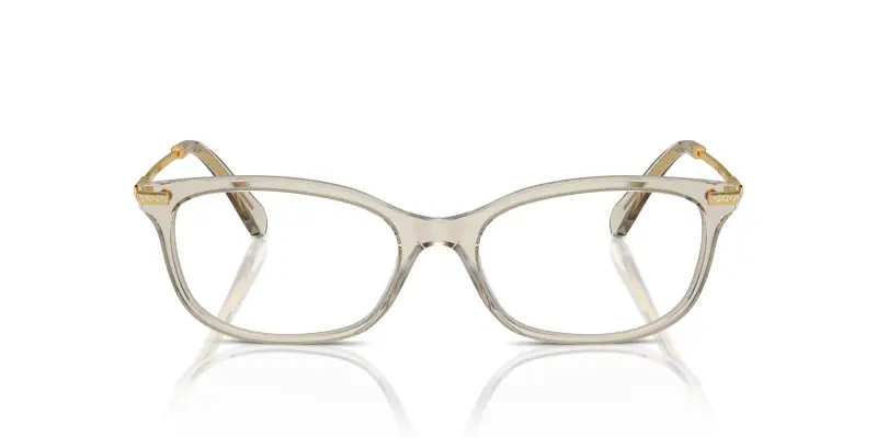 Donna SK2017 3003 Montature da vista Acetato Marrone Trasparente Squadrata Normale miniatura 3