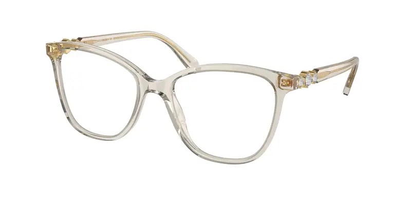 Swarovski Donna SK2020  3003 Montature da vista Acetato Marrone Trasparente Squadrata Normale