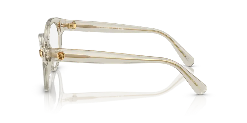 Swarovski Donna SK2037 3003 Montature da vista Acetato Marrone Trasparente Rotonda Normale miniatura 3