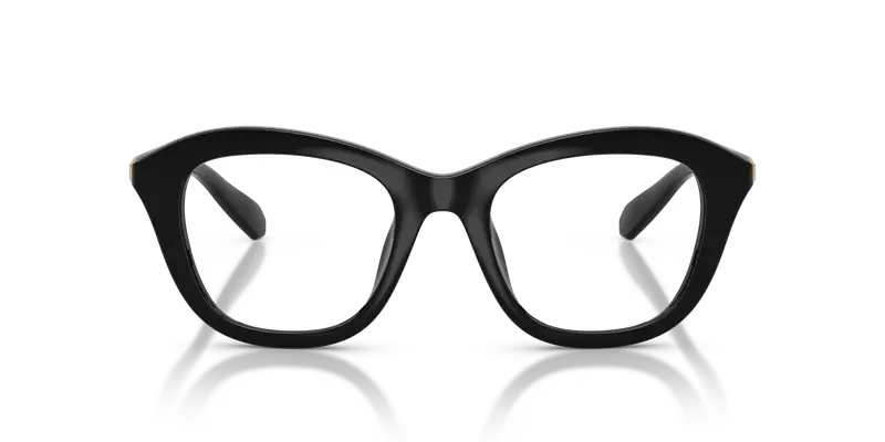 Swarovski Donna SK2042U 1001 Montature da vista Iniettato Nero Trasparente Cat Eye Normale miniatura 2