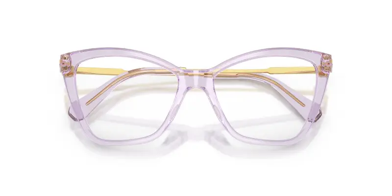 Donna SK2051 1079 Montature da vista Acetato Viola Trasparente Cat Eye Normale miniatura 2